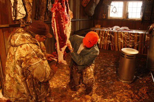 Removing pelvic meat from the deer