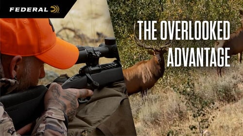 Overlooked Advantage; Man aiming rifle at elk