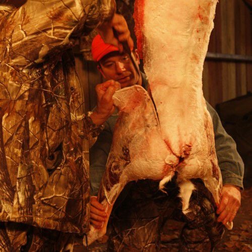 Two men starting the removal the hind quarter of a deer in a shed