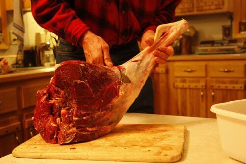 a deer hind quarter being sliced just above the joint