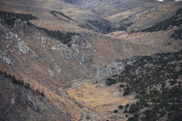 landscape shot of a valley