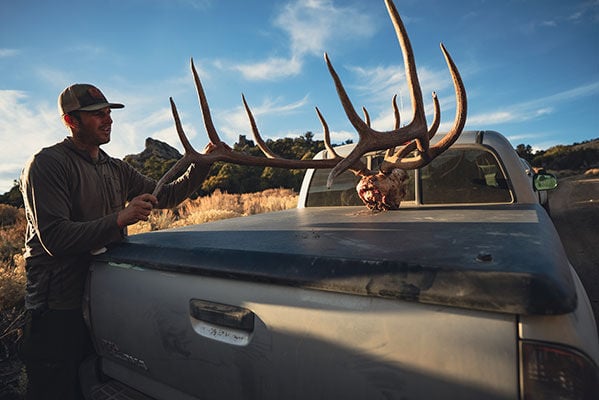 hunter loading elk skull and antlers on a truck bed