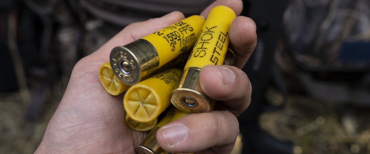 Speed-Shok shells being gripped in a hand