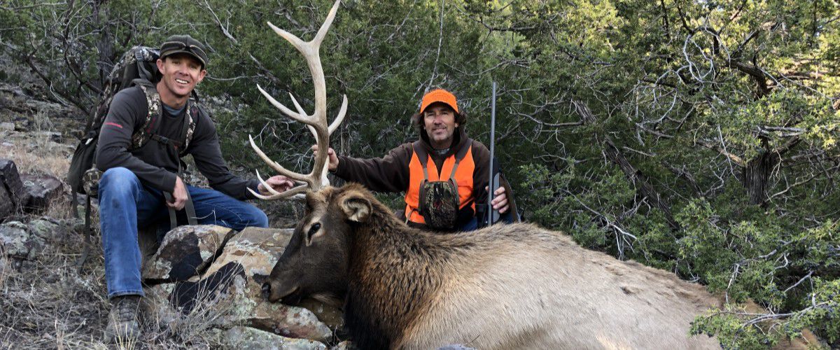 Two hunters kneeling by a downed elk