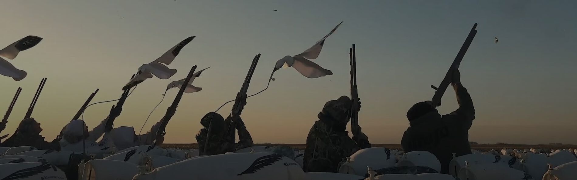 hunters sitting amoungst snow goose decoys with those shotguns pointed to the sky