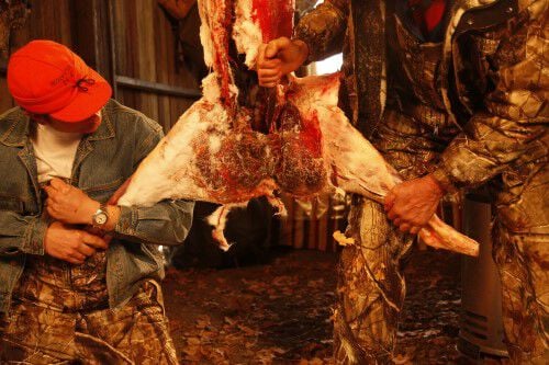 Two men continuing the removal the hind quarter of a deer in a shed