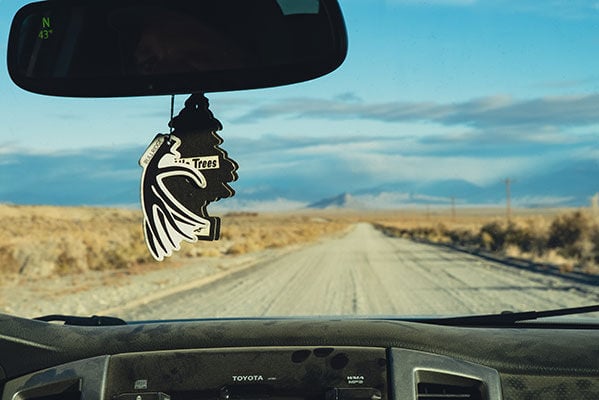 car air freshener and antler keychain hanging from rear view mirror