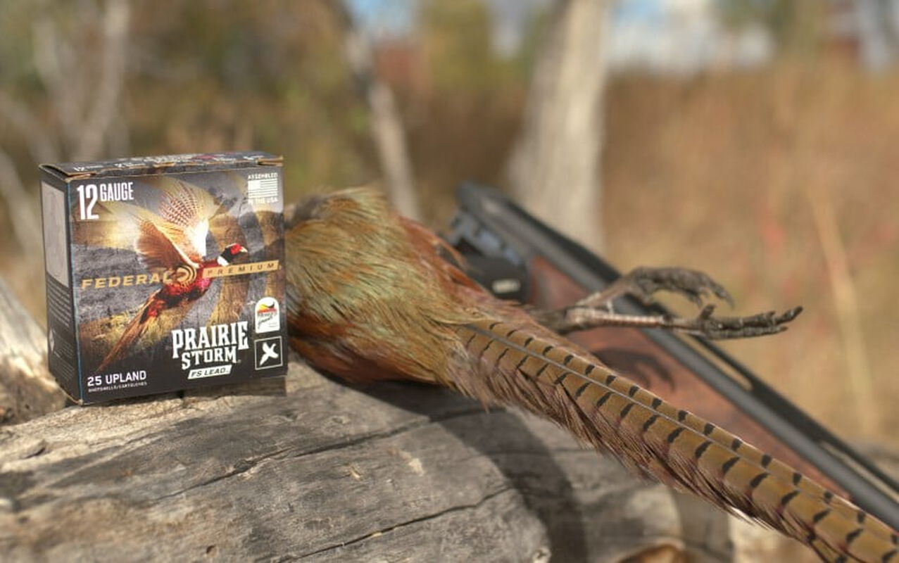 pheasant laying on a log with a shotgun and a box of Prairie Storm showing the Pheasants Forever logo
