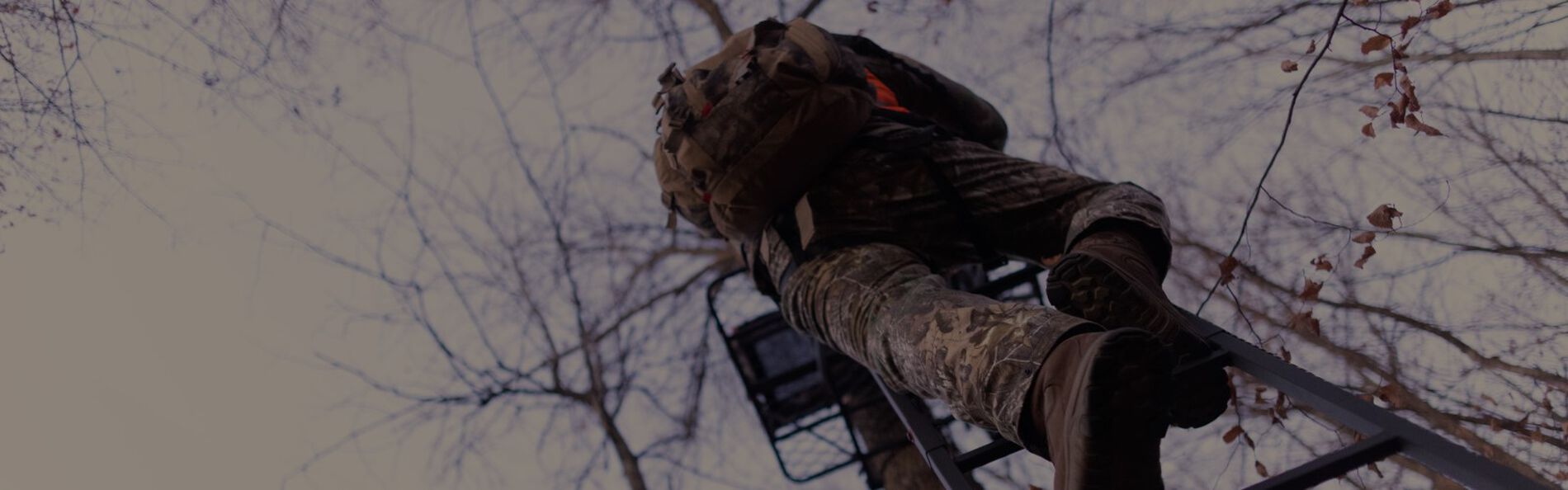 hunter climbing up to a tree blind