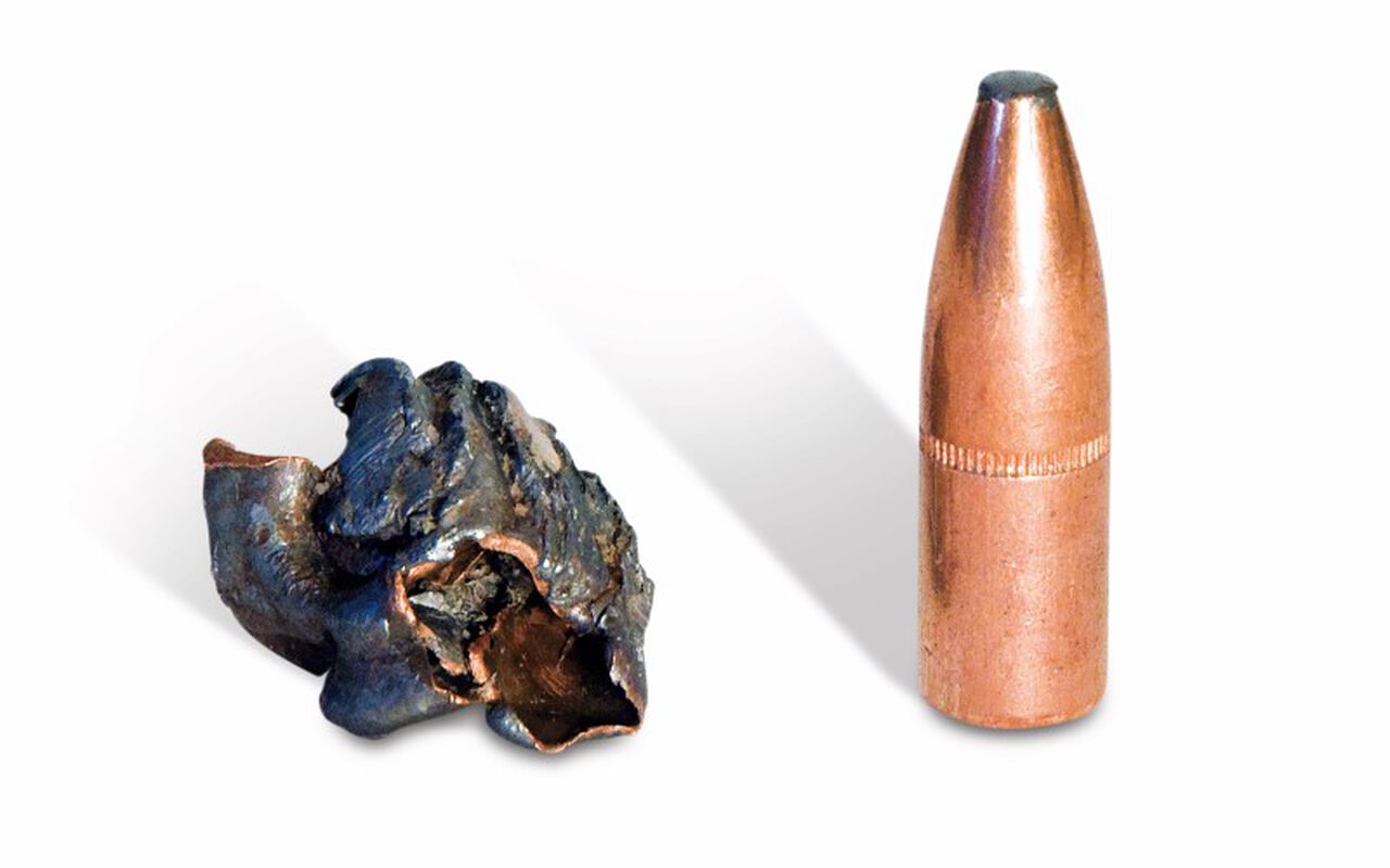 Fusion bullet recovered from a moose