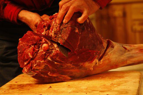 a large portion of meat being removed from the top of the leg bone