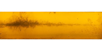 Bare Gel shot with Fusion Tipped rifle