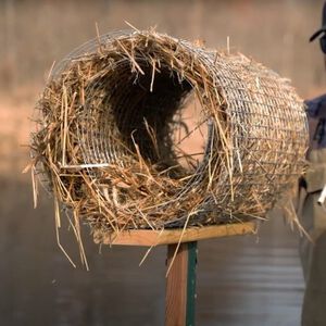 Josh Froelich maintaining a man-made duck nest