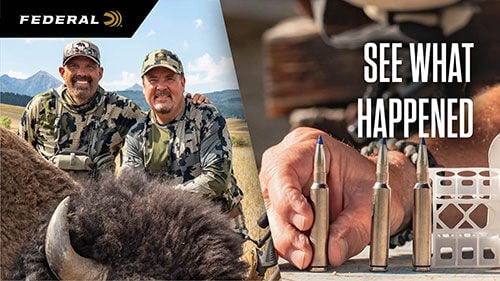 See What Happened; Lee next to dead bison; 7mm backcountry lined up on a table