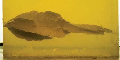 Bare Gel shot with HST