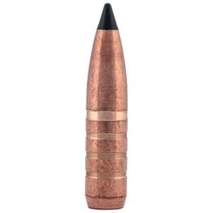 Federal Trophy Copper bullet
