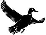 waterfowl icon