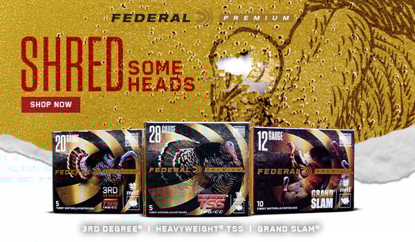 Shred Some Heads; Shop Now; 3rd Degree, HEAVYWEIGHT TSS and Grand Slam box; Shop Now