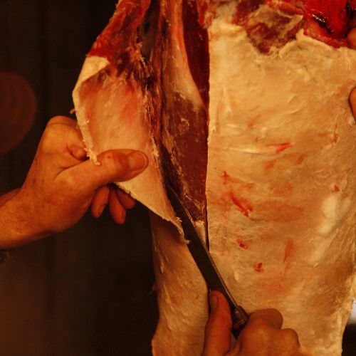 Removing skin from the meat on a deer leg