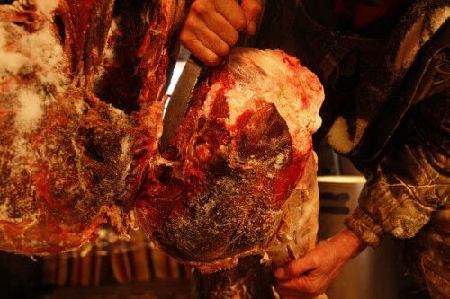 Two men removing the hind quarter of a deer in a shed