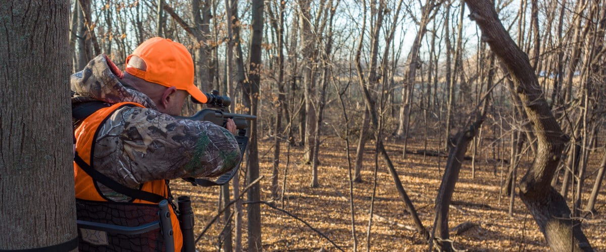 hunter aiming rifle while in a deer stand