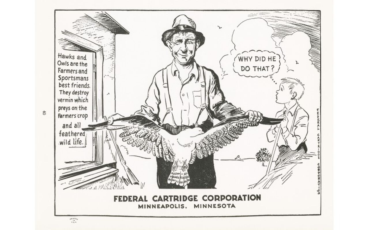 man holding the spread wings of a dead hawk
