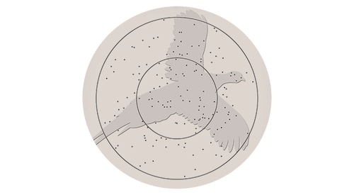 shot pheasant target