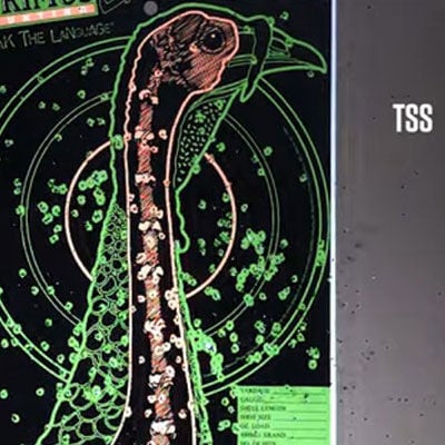 How Federal Uses TSS Payloads