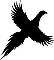 pheasant black silohette