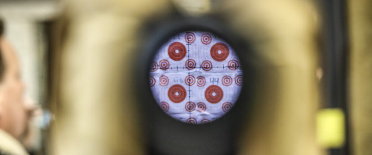 target being looked at through a rifle scope