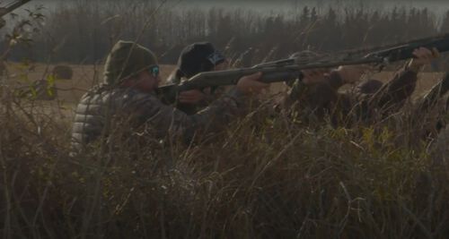 Hunters lined up shooting geese in tall grass