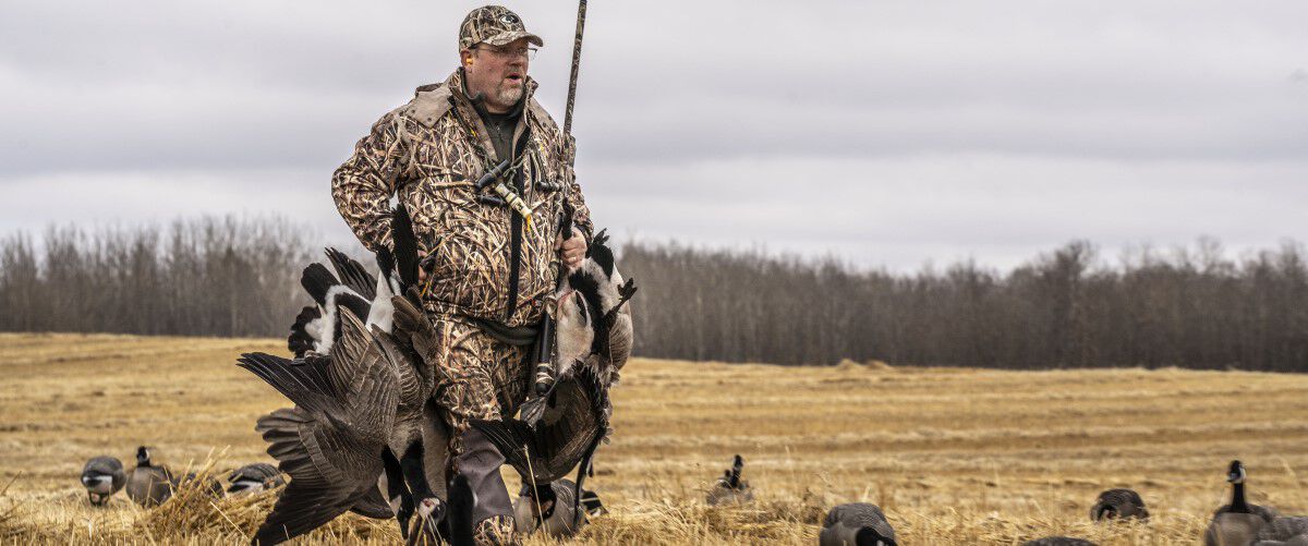 Hunter carrying 4 dead geese