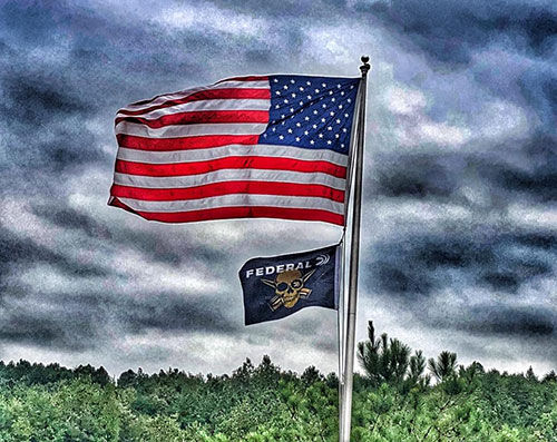 American Flag and Federal Flag blowing in the wind