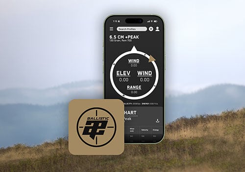 Ballistic AE App logo and how the app looks on mobile