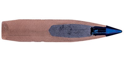 Terminal Ascent cutaway
