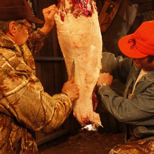 Two men removing the tenderloin from the front legs