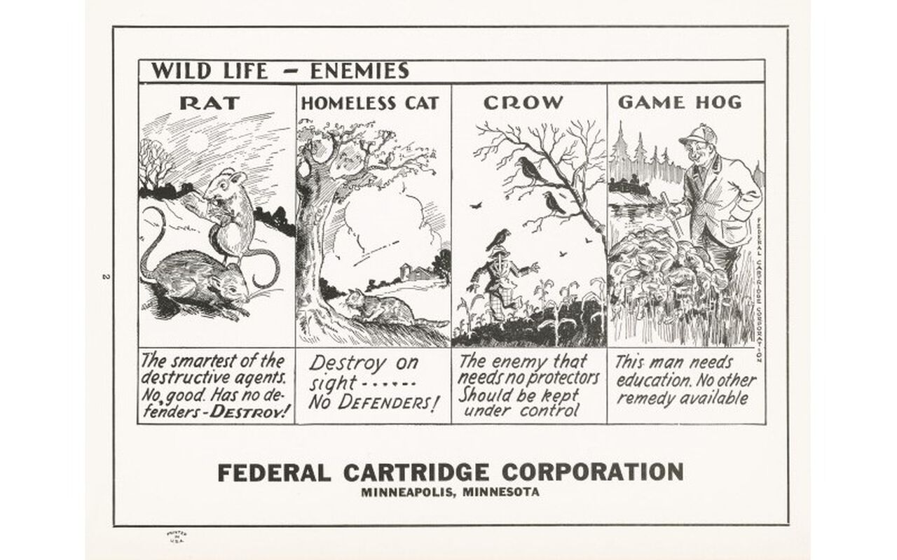 poster showing wild life enemies. rat, homeless cat, crow, game hog