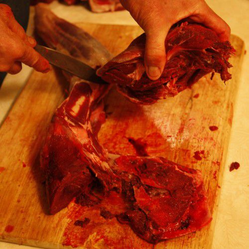 chunks removed from the sopposite side of the foreleg