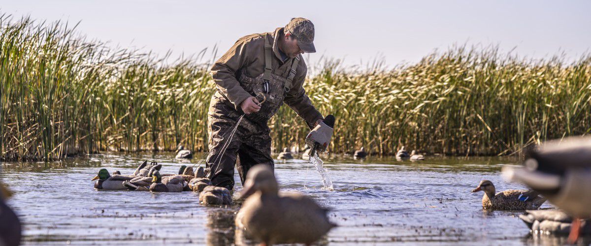 hunter laying down duck decoys