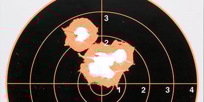 shot paper target