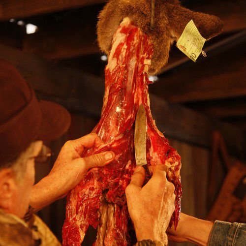 Removing neck meat from the deer