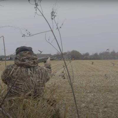 Hunter getting ready to shoot waterfowl that are landing in a field