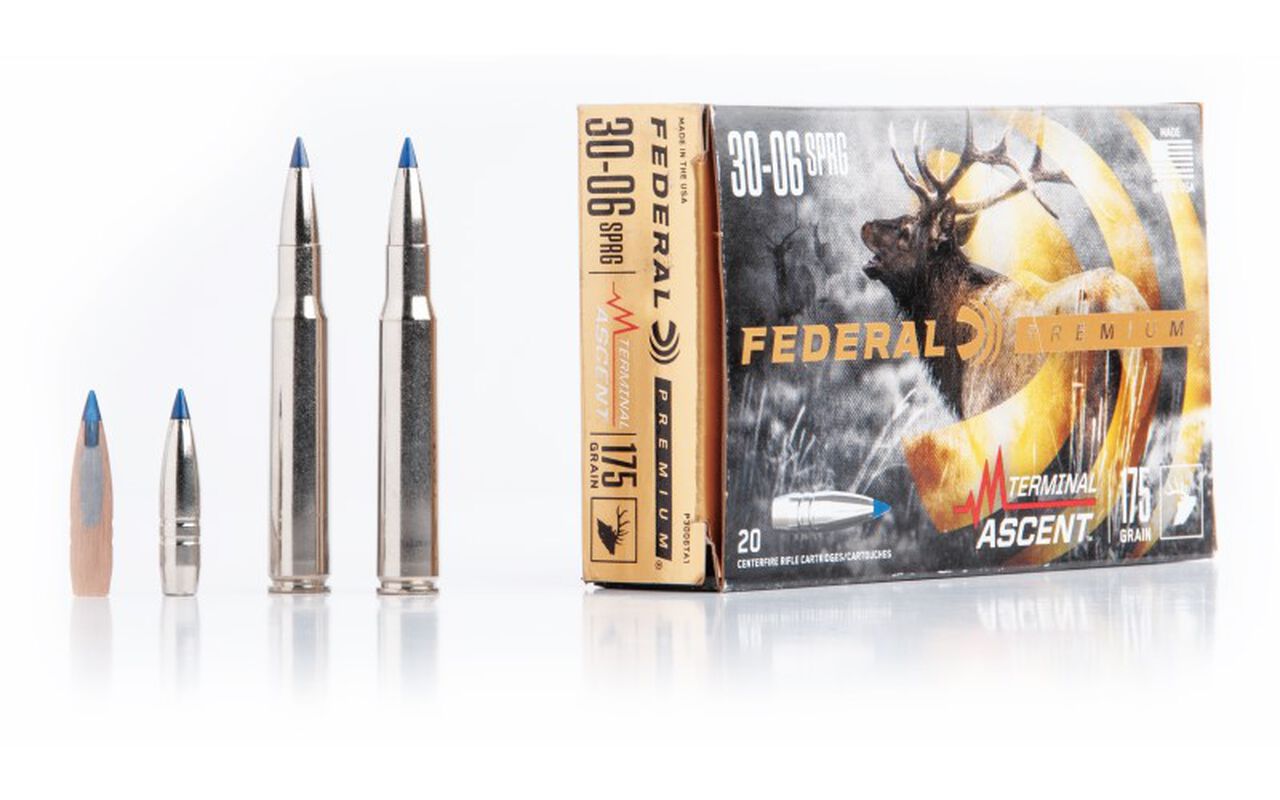 Federal Premium Terminal Ascent packaging, cartridges, and bullets