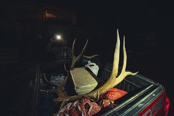 Elk skull and cooler in the back of a truck bed at night