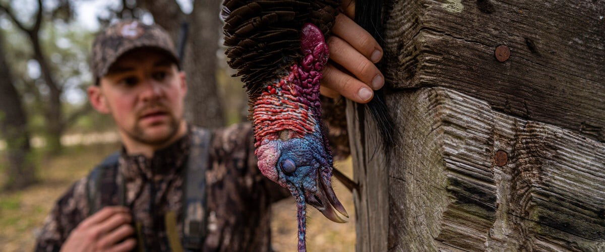 hunter looking at a turkey hanging on a fence