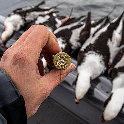Federal Shotshell and line up of ducks