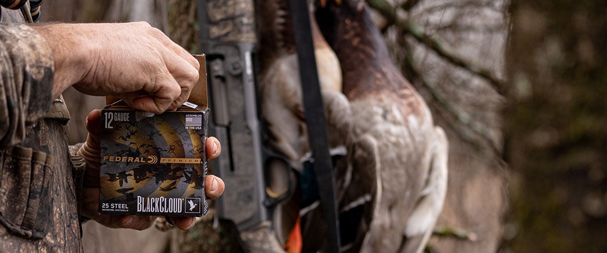 hunter pulling Black Cloud shotshells our of a box with a duck handing from a tree in the background