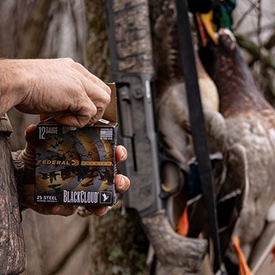hunter pulling Black Cloud shotshells our of a box with a duck handing from a tree in the background