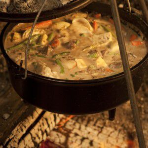 Fireside Venison Stew