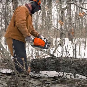 Josh Froelich using a chainsaw on a downed tree